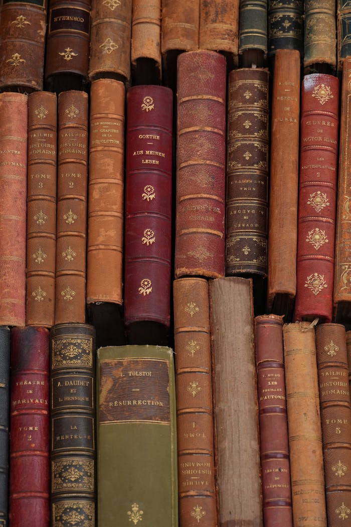 An array of vintage leather-bound books with ornate spines displayed on a bookshelf.