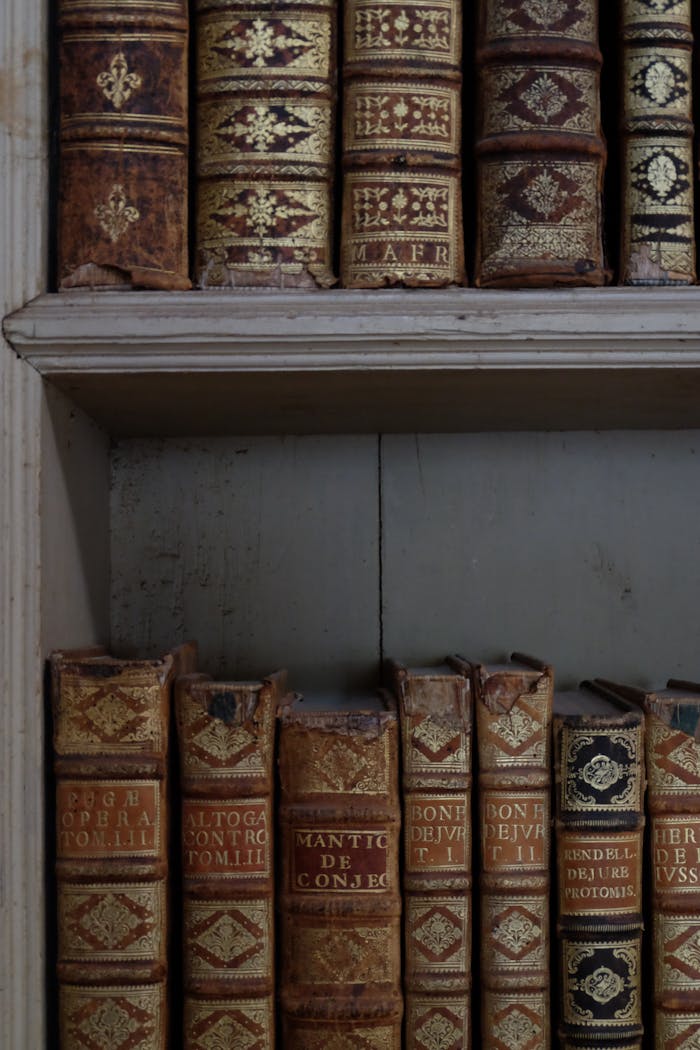 Close-up of vintage leather-bound books with detailed spine designs on a wooden shelf.